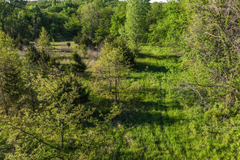 Listing photo 27